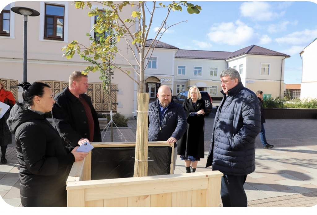 На ул. Металлистов и Крестовоздвиженской площади планируют установить защитные модули для деревьев